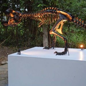 Trex Novo Mobiliario