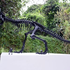 Trex Novo Mobiliario